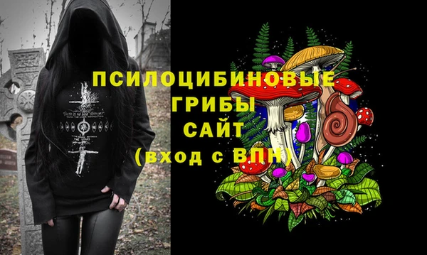 мдпв Мегион